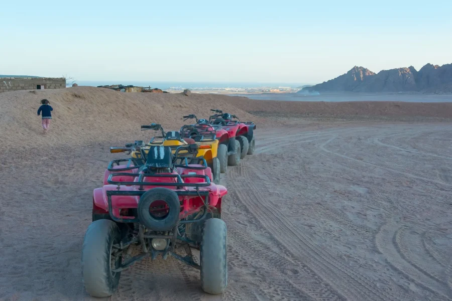 Super Safari in quad con cena e spettacolo