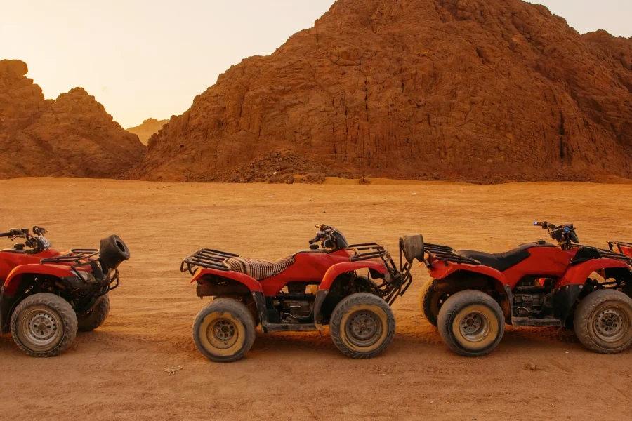 Safari in quad con tè beduino